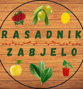 Rasadnik Zabjelo