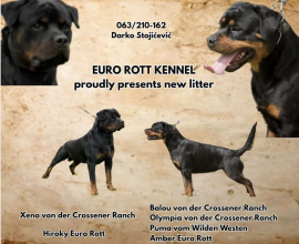 Stigli su naši mali rotvajleri!